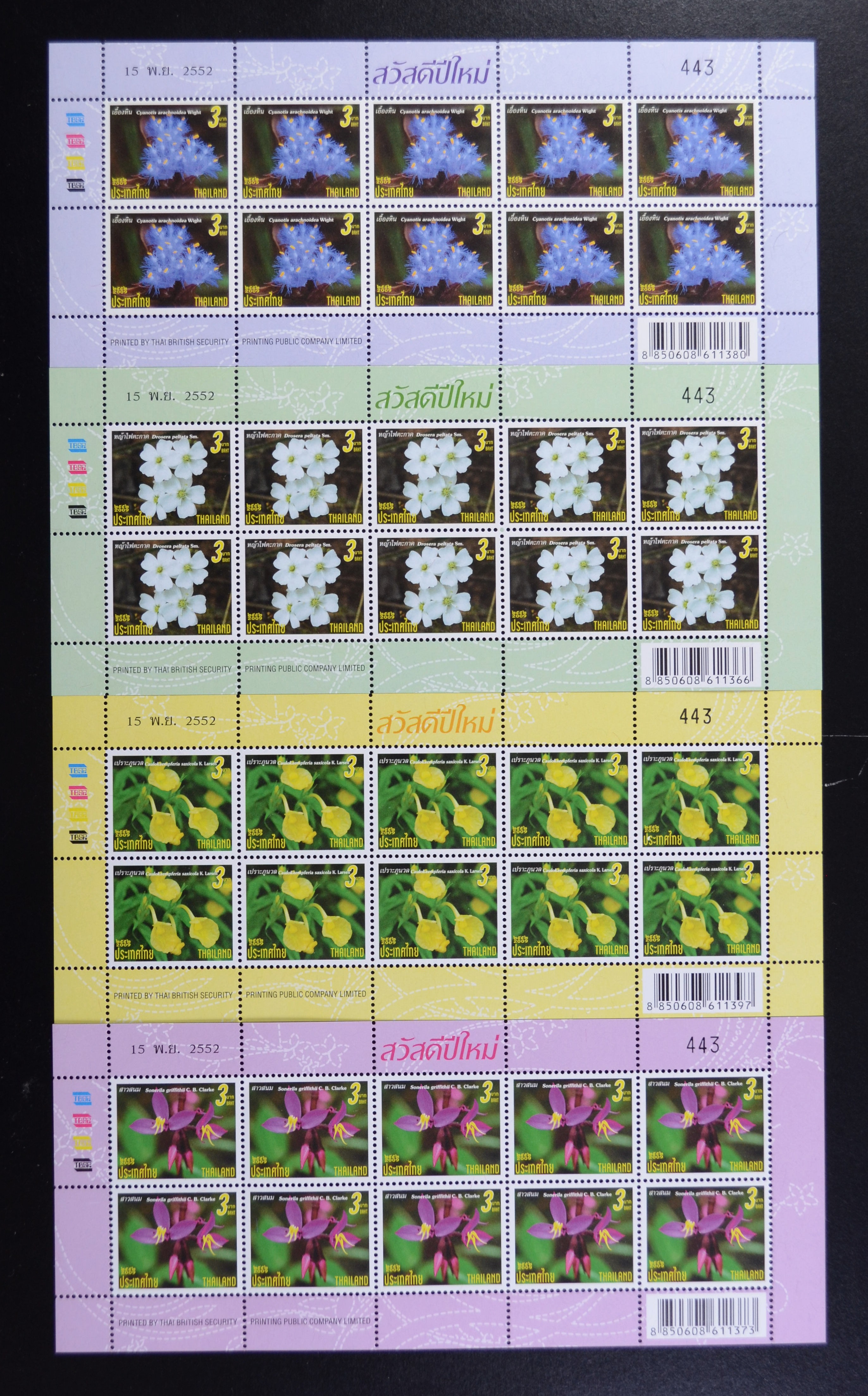 แสตมป์ปีใหม่ 2553 (เต็มแผ่น)