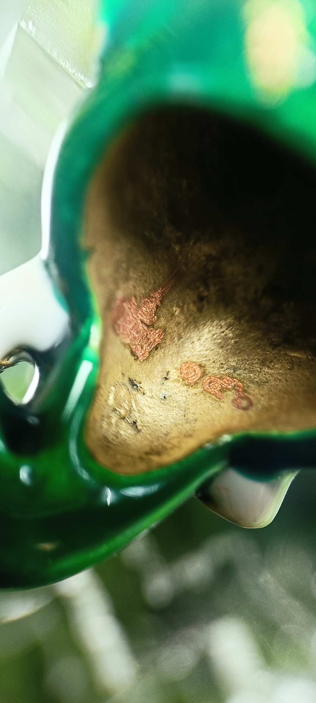 เศียรพระพิฆเณศประทานพร หลวงพ่อพัฒน์ วัดห้วยด้วน ปี 2565 เนื้อกะไหล่ทองลงยาเขียว หมายเลข๑๕๖