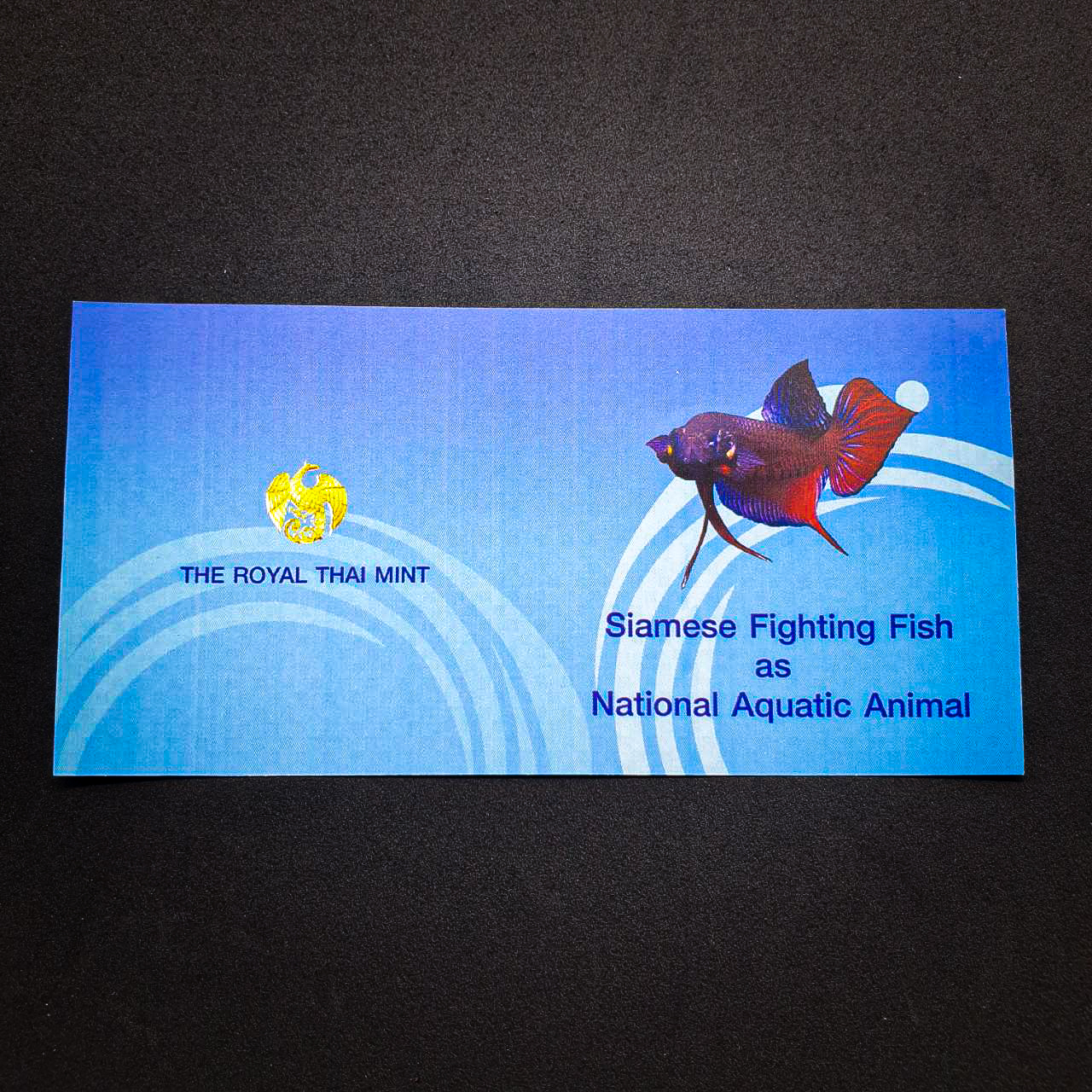 เหรียญปลากัดไทย 2 (เงินขัดเงาลงสี) โดยชมรมคนรักษ์เหรียญ (ตัวที่ 2)