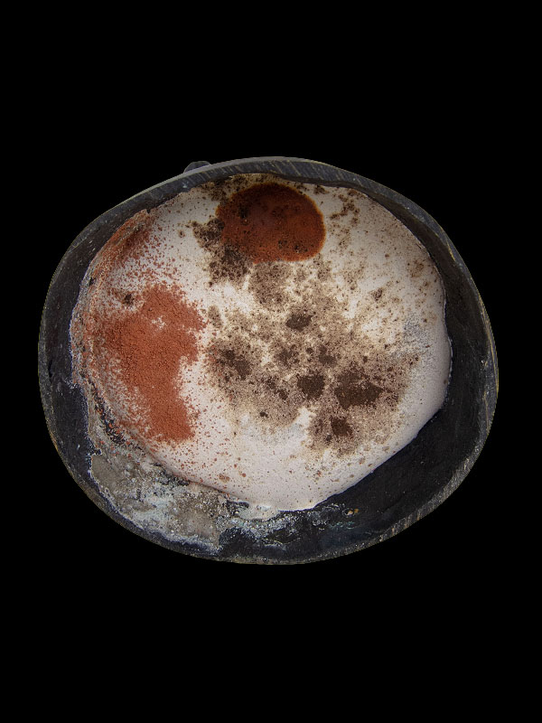 กุมารกวักทรัพย์ (บูชาสูง 8 นิ้ว) หลวงพ่อประโมท