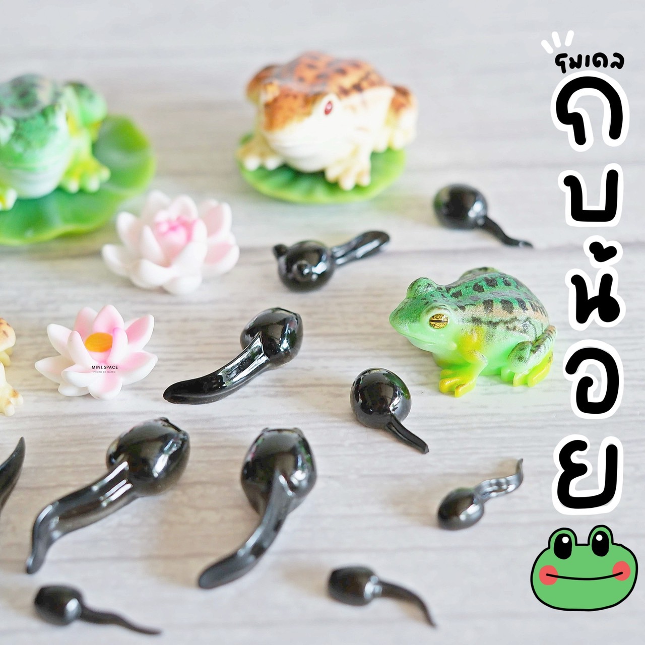 โมเดลเจ้ากบ และลูกอ๊อด MS5918 ตุ๊กตาจิ๋ว โมเดลจิ๋ว เรซิ่นตกแต่ง แต่งสวน งานDIY