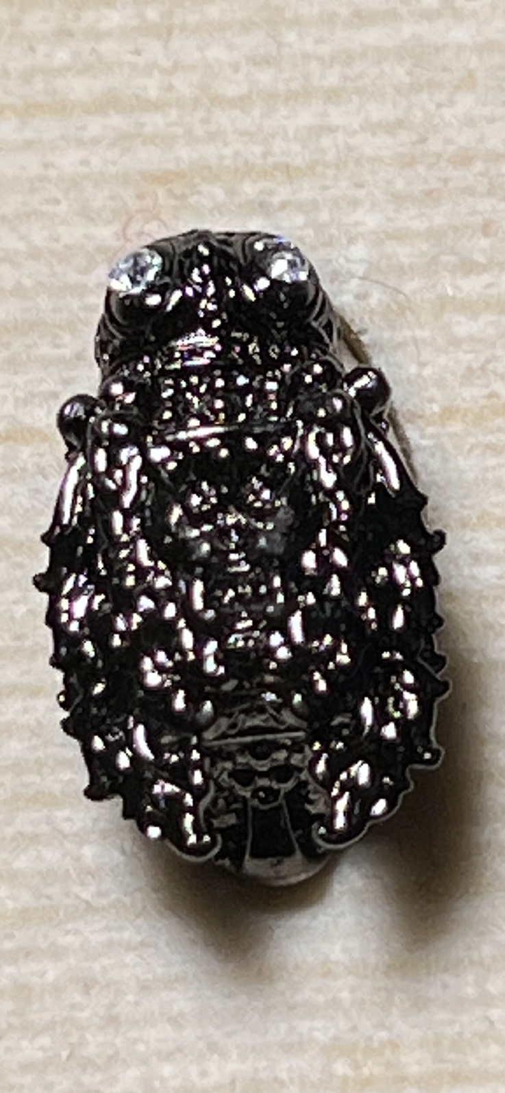 แมลงภู่คำ รุ่น ทรัพย์ภมร ขนาด กว้าง 0.9 cm.*สูง1.4cm.