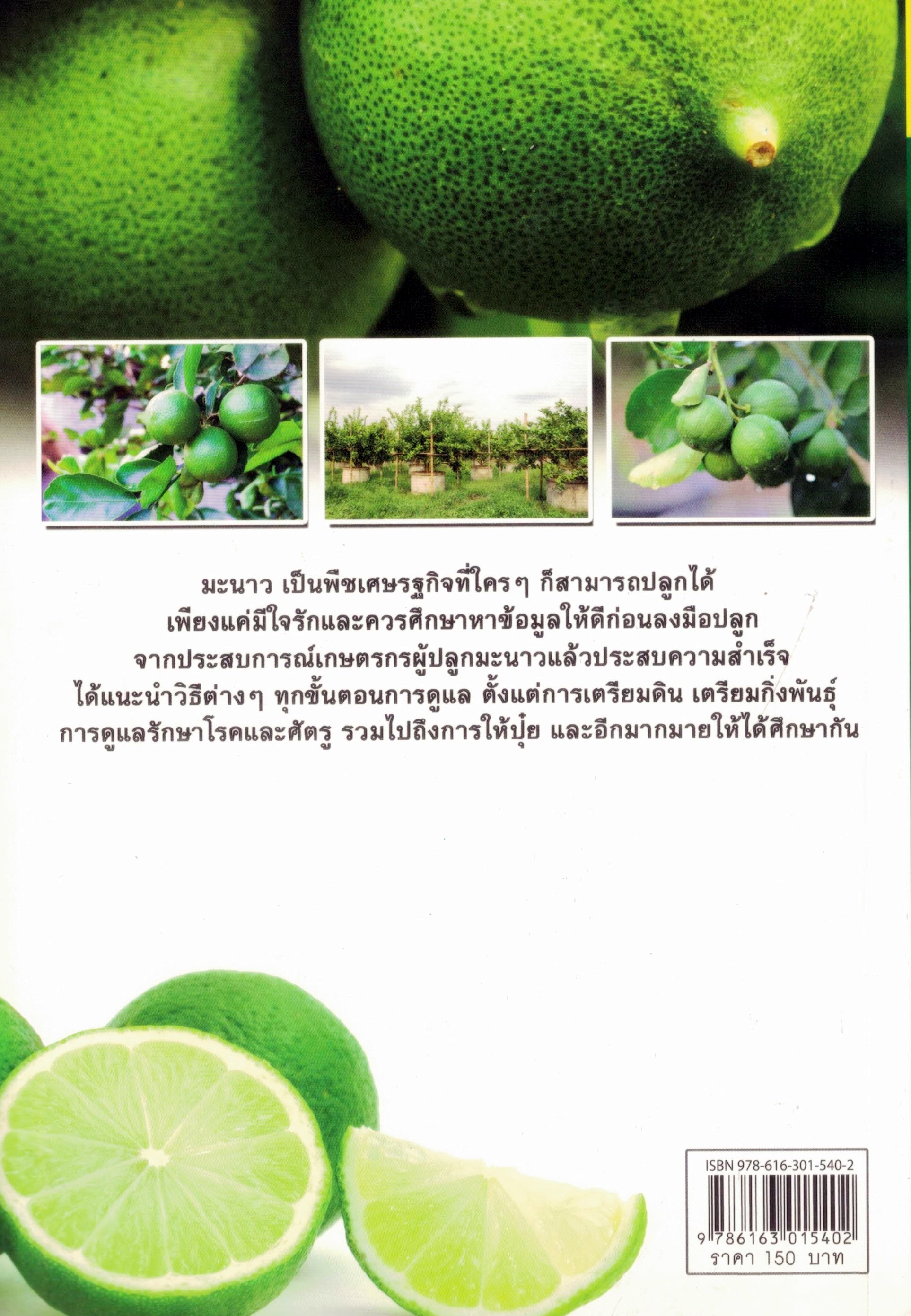 มะนาวสู้แล้งนอกฤดู พิมพ์ครั้งที่2(ราคาพิเศษ)