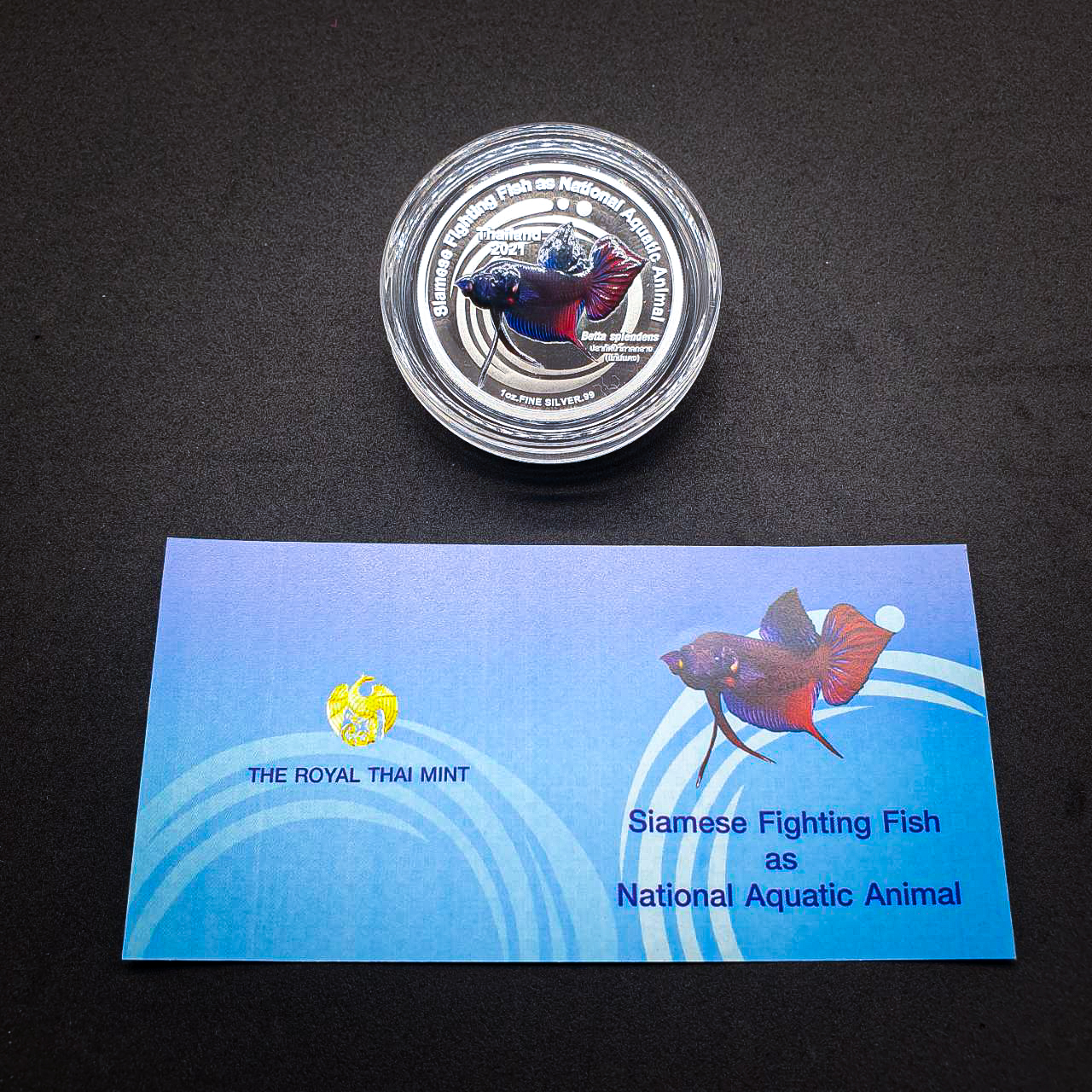 เหรียญปลากัดไทย 2 (เงินขัดเงาลงสี) โดยชมรมคนรักษ์เหรียญ (ตัวที่ 2)