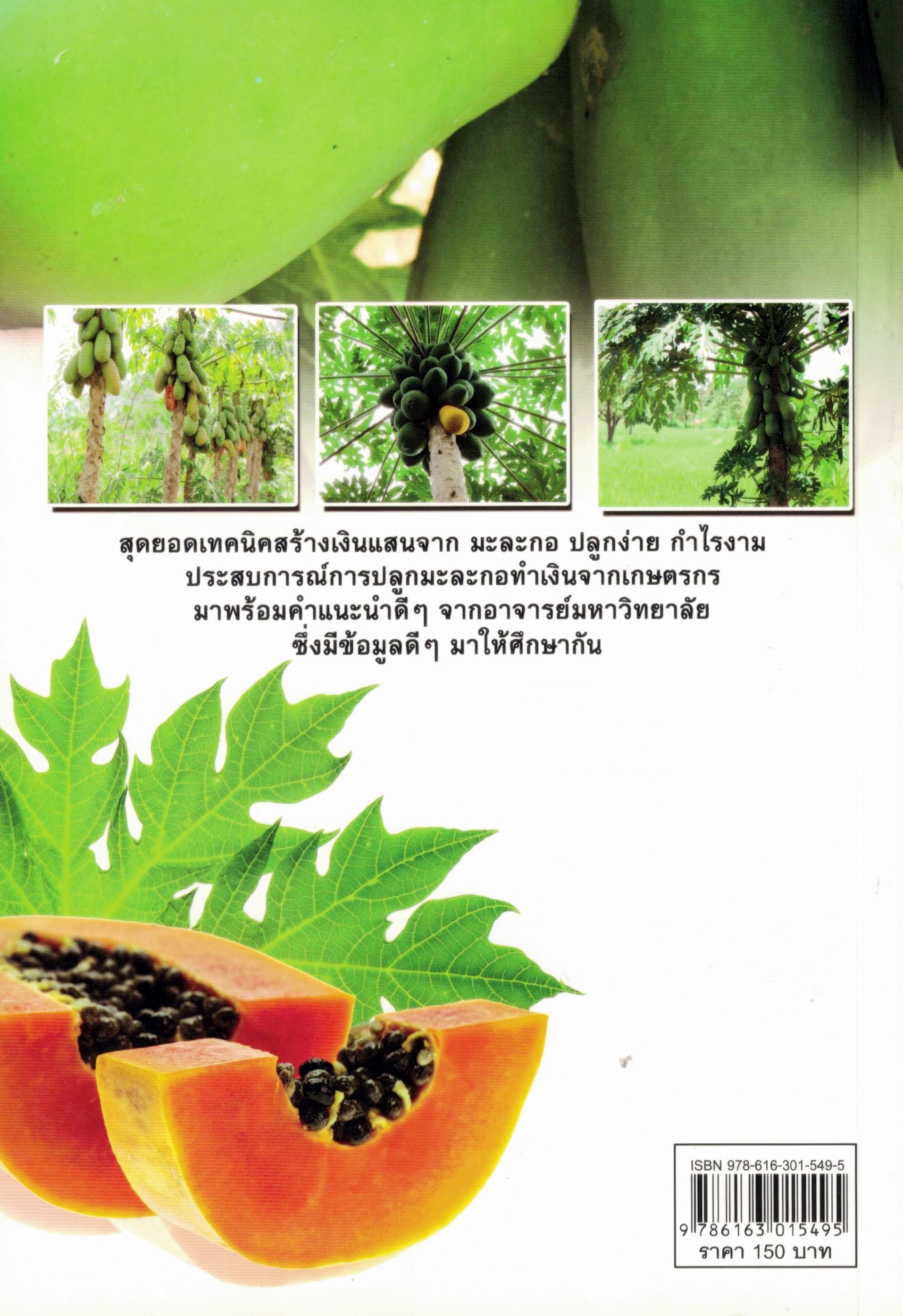 มะละกอ กำลังทำเงิน ปลูกได้รวย (ราคาพิเศษ)