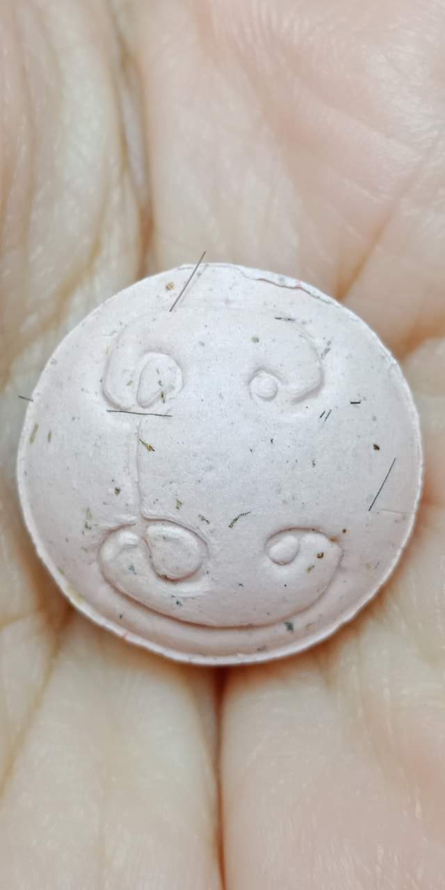 ว่านชานหมากเกศา ชมพูดูดทรัพย์ หลวงพ่อเณร วัดทุ่งเศรษฐี ม.ราม2 เด่นด้านโชคลาภและเมตตามหานิยม)