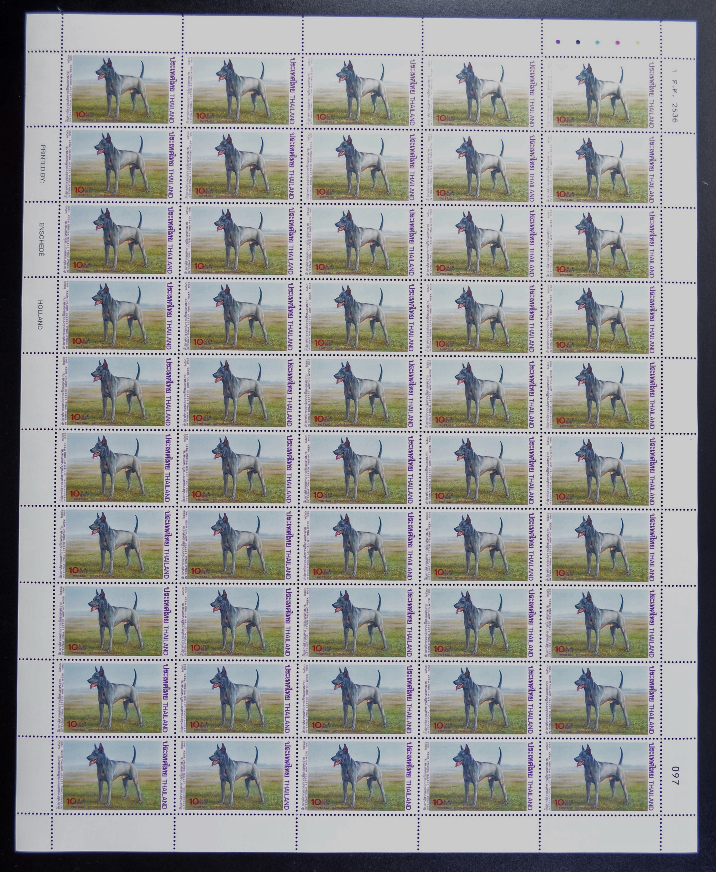 แสตมป์สัปดาห์สากลแห่งการเขียนจดหมาย 2536 (เต็มแผ่น50ดวง)