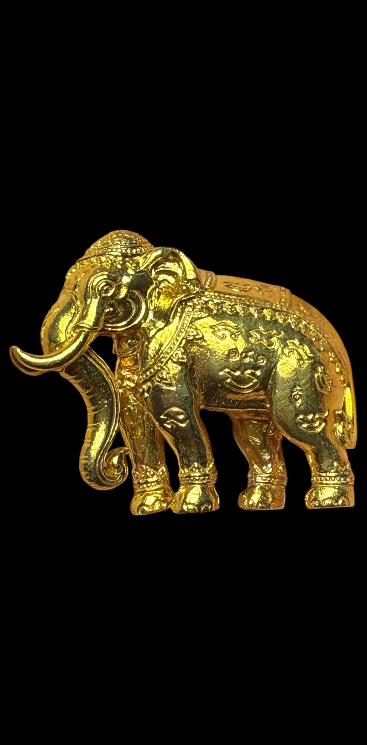 พญาช้างปัจจัยนาค รุ่น คชสารบันดาลทรัพย์ ปี58 หลวงพ่อรักษ์ วัดสุทธาวาส วิปัสนา จ.อยุธยา