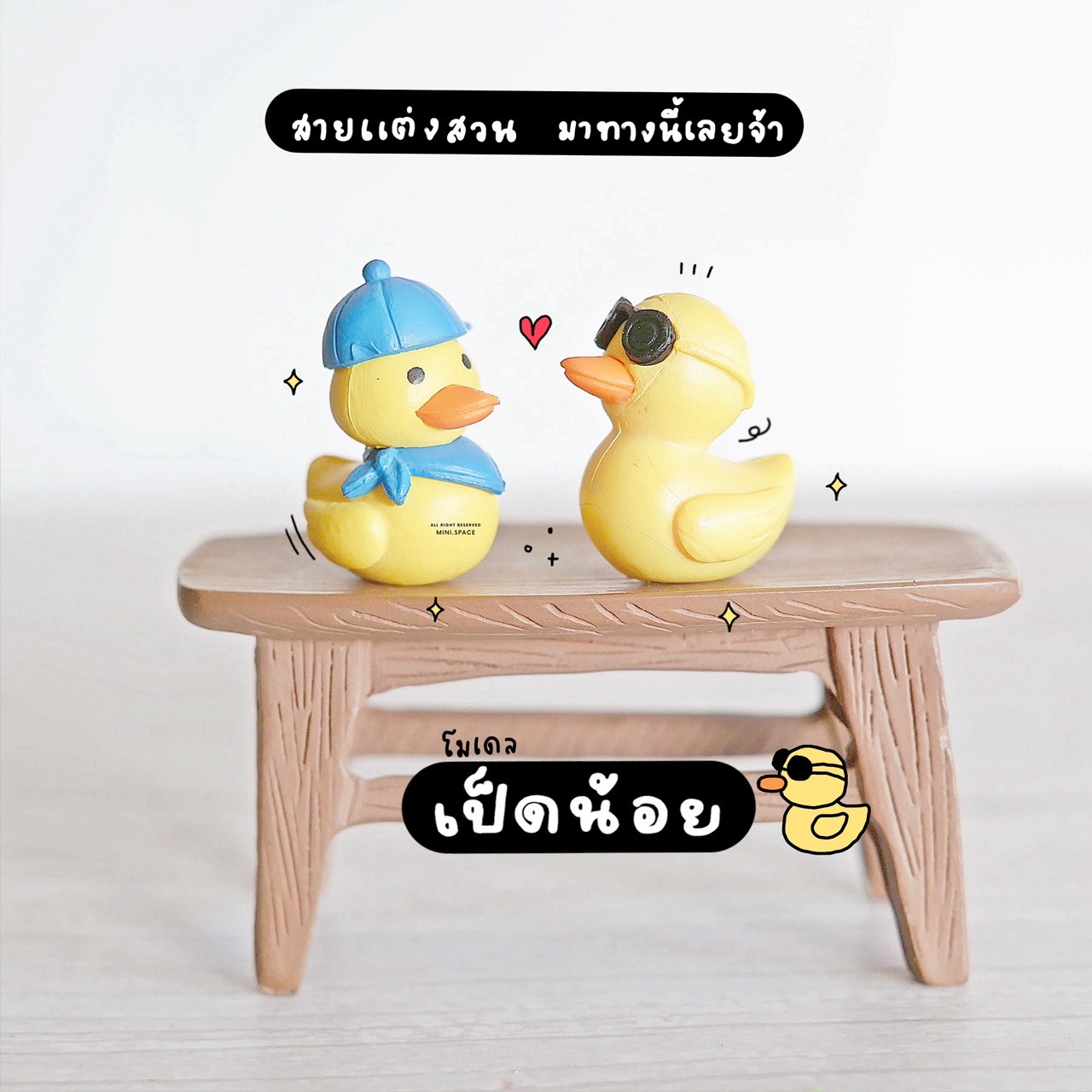 โมเดลเป็ด เป็ดแว่นสีดำ เป็ดหมวกสีฟ้า (ชุด 2 แบบ) MS0232 ตุ๊กตาจิ๋ว โมเดลจิ๋ว เรซิ่นตกแต่ง แต่งสวน งานDIY