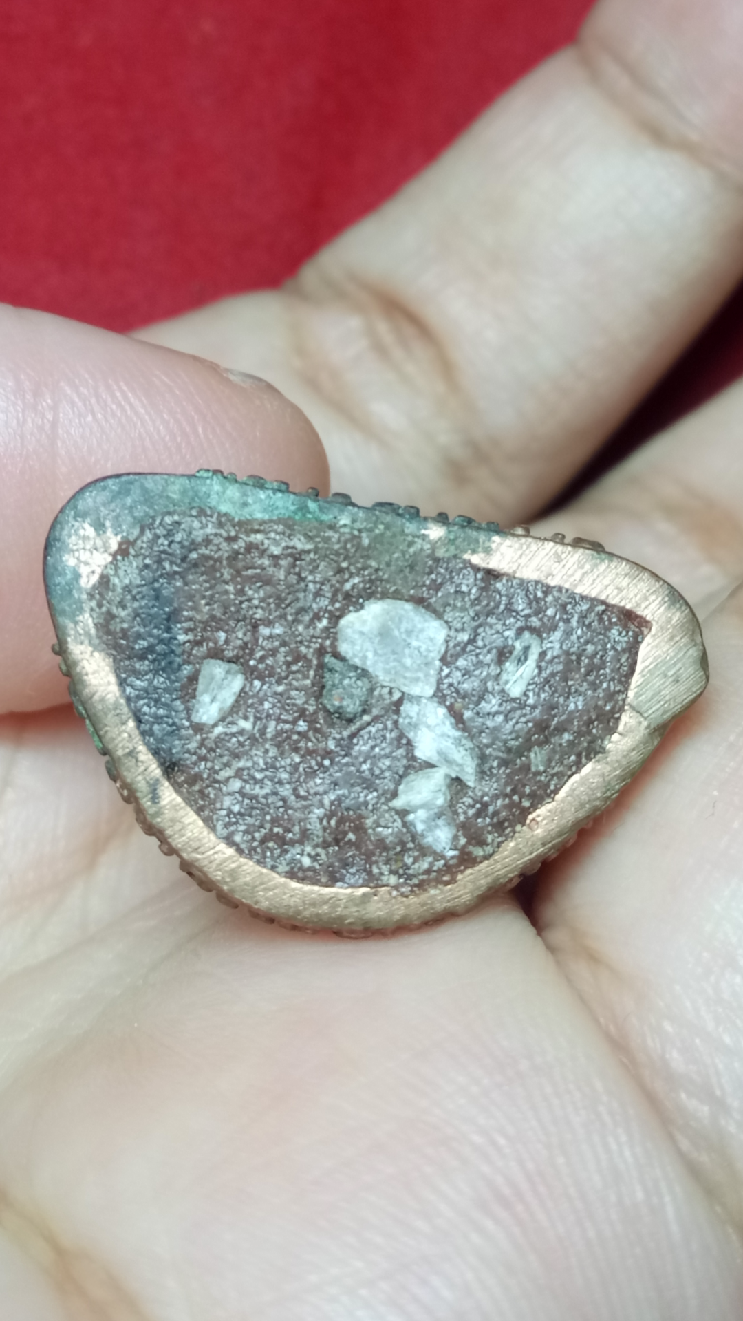 กุมารนาคราช เนื้อวัตถุอาถรรพณ์อุดผงวิเศษแห่งป่าคำชะโนด ปู่ฤาษีลิงใหญ่