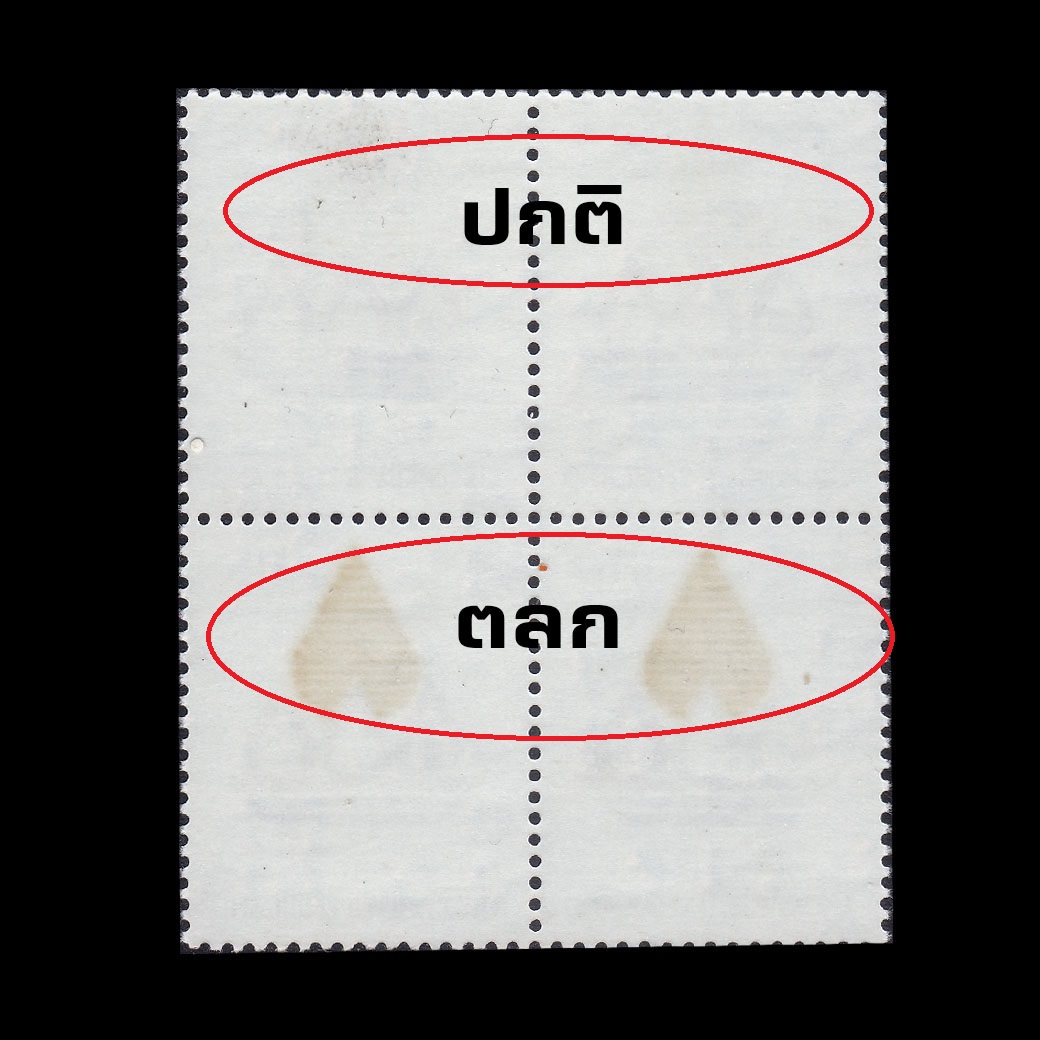 (ซื้อครบ 15,000 บาท รับของกำนัล) บล็อค 4 100 ปี การฝึกหัดครูไทย ดวงปกติ + ตลก Error