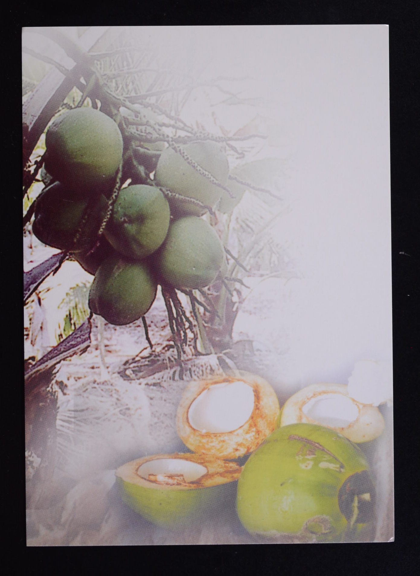 บัตรภาพ สัปดาห์สากลแห่งการเขียนจดหมาย 2546