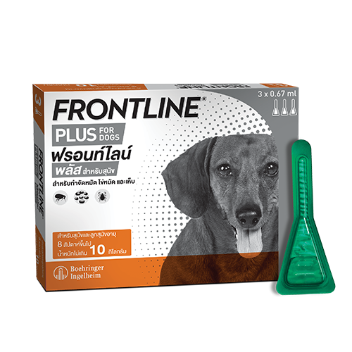 Frontline Plus for dogs and puppies 8 weeks or older and up to 10 kg ฟรอนท์ไลน์ พลัส สำหรับสุนัขและลูกสุนัข อายุ 8 สัปดาห์ขึ้นไป ที่มีน้ำหนักไม่เกิน 10 กก. 1 หลอด