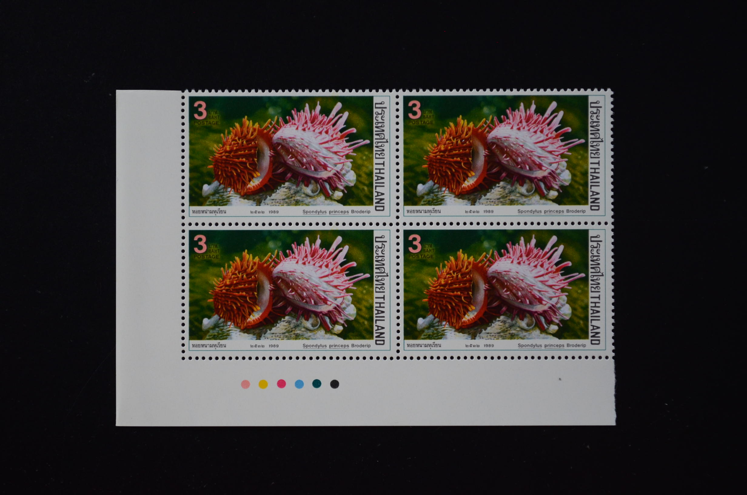 บล็อค 4 (มุมสี) แสตมป์หอย (ชุด 2)