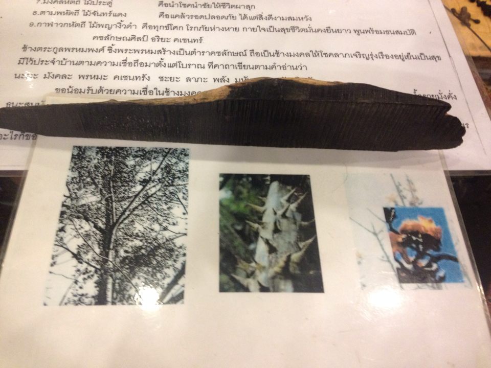 ไม้งิ้วดำโบราณ