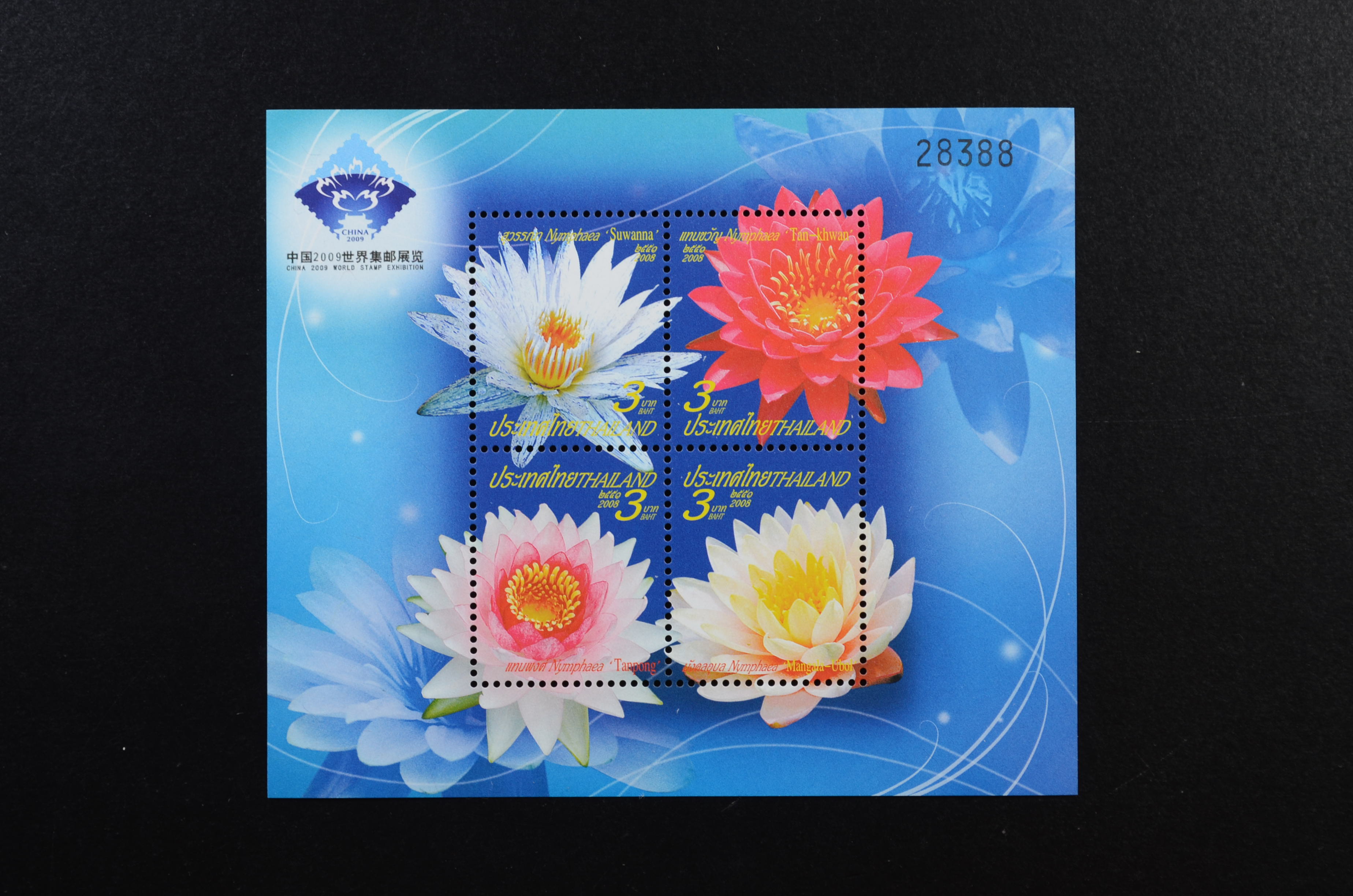 ชีทปีใหม่ 2552 พิมพ์ทับตรางาน China 2009
