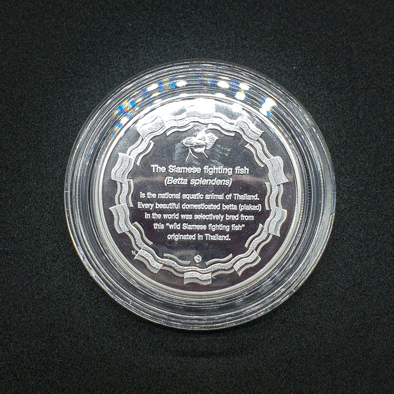 เหรียญปลากัดไทย 2 (เงินขัดเงาลงสี) โดยชมรมคนรักษ์เหรียญ (ตัวที่ 2)