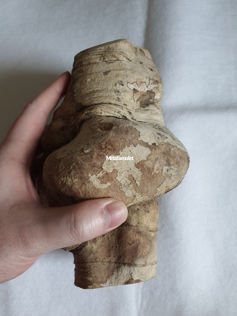 ไม้ชองระอา