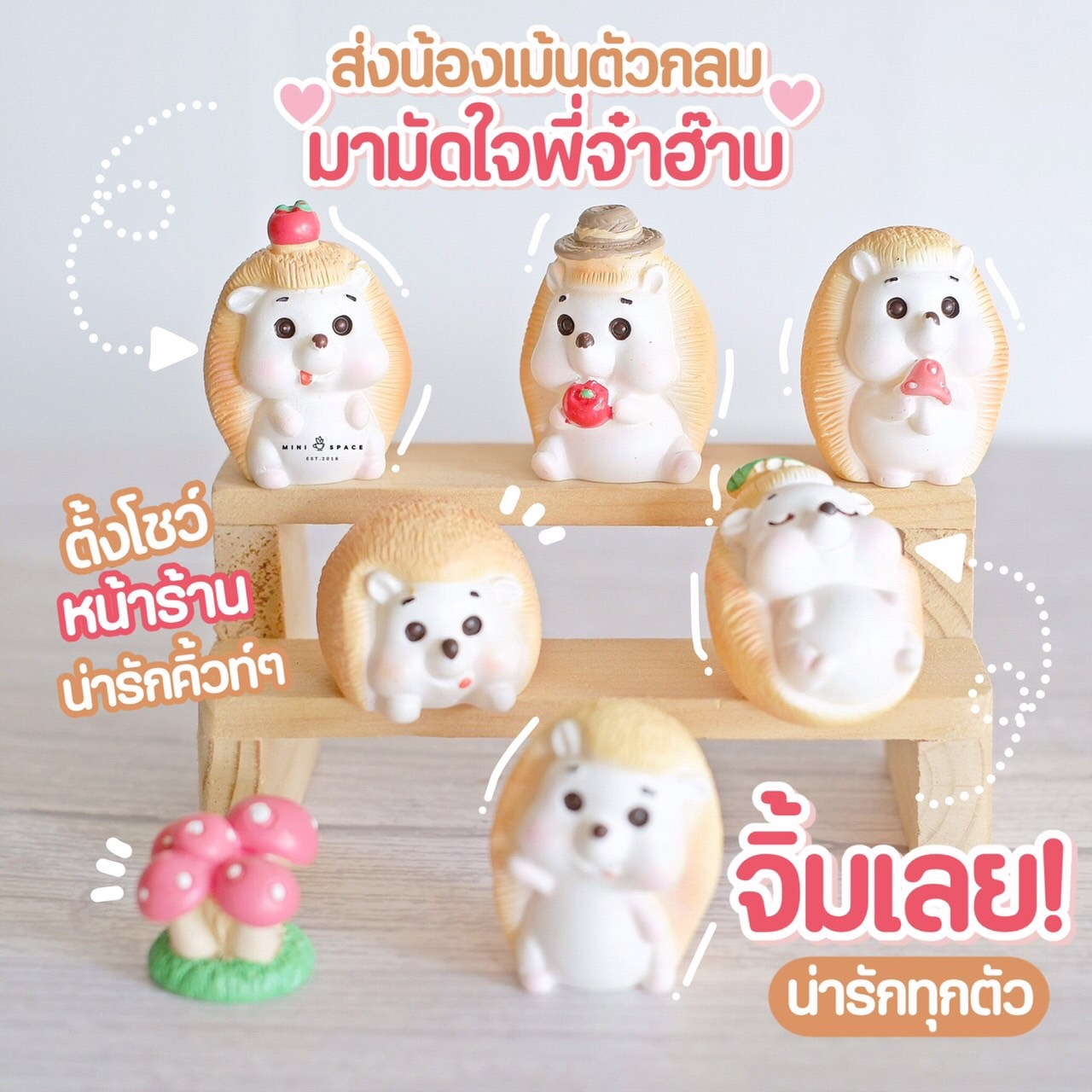 MS5623 ตุ๊กตาเม่นชุดแอปเปิ้ล 6 แบบ ตุ๊กตาจิ๋ว โมเดลจิ๋ว ตุ๊กตาเรซิ่น แต่งสวน * ถ่ายจากสินค้าจริง-จากไทย-ชุดสุดคุ้ม