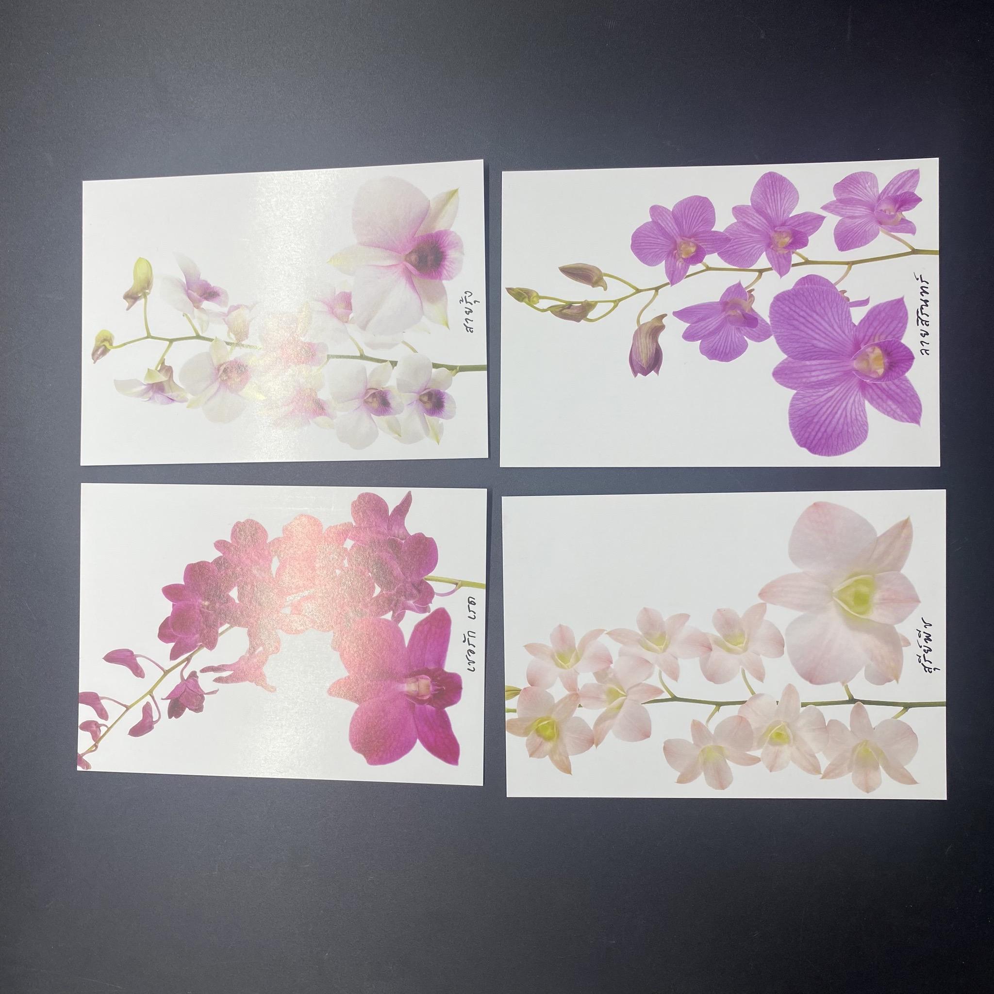 ชีทกล้วยไม้ 2554 พิมพ์ทับตราสัญลักษณ์ งาน Royal Orchid Paradise 2011