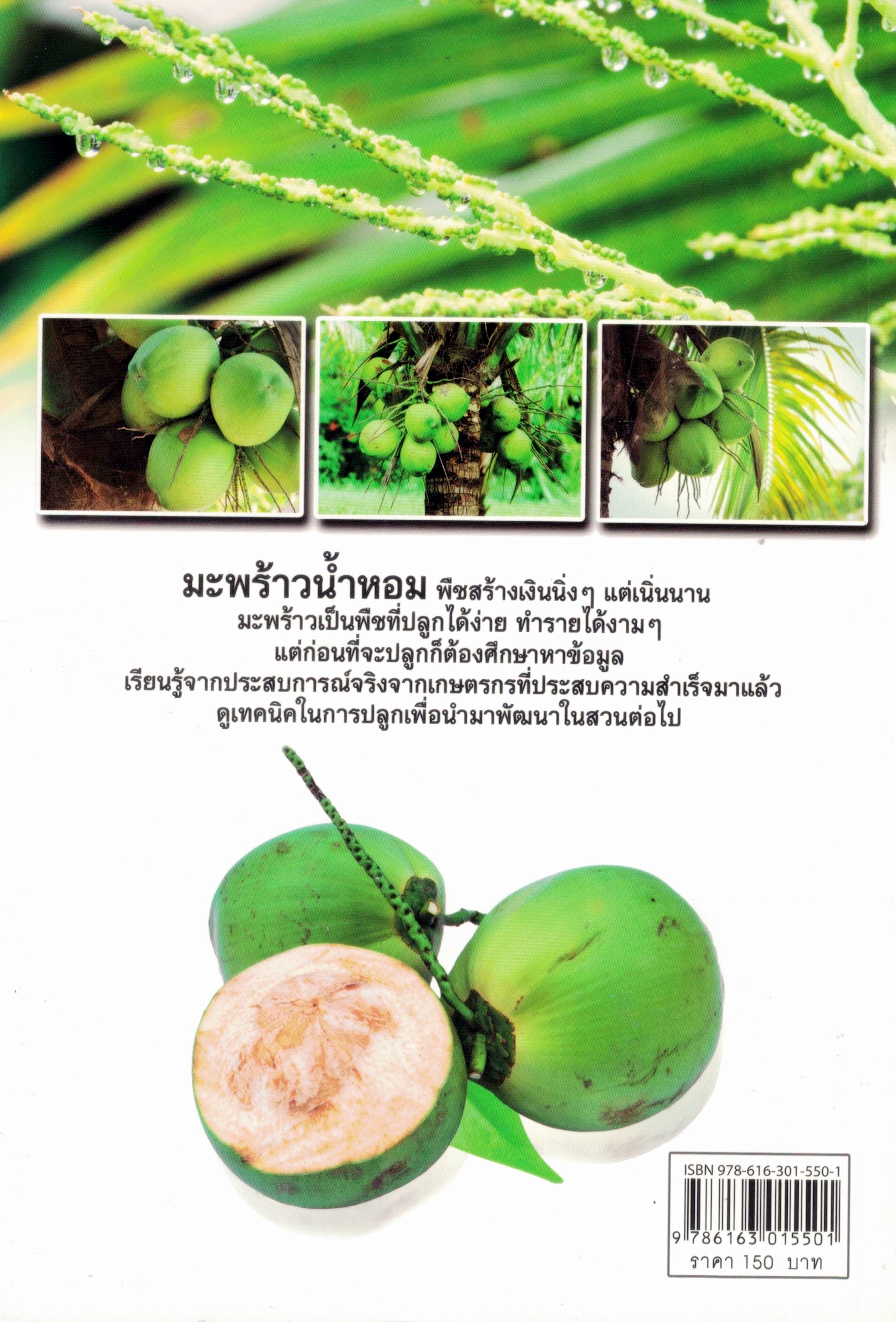หนังสือมะพร้าวน้ำหอม เสือนอนกิน ทำเงินตลอดปี (ราคาพิเศษ)