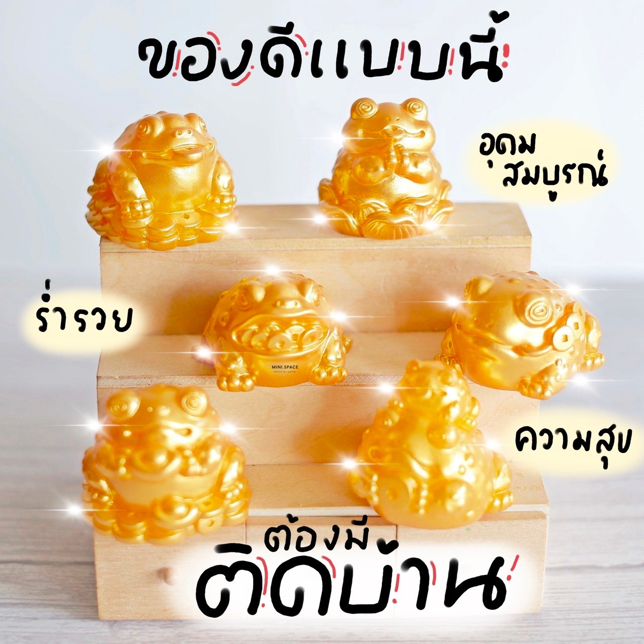 โมเดลกบทอง ตุ๊กตามงคลรูปกบ MS5896 ตุ๊กตาจิ๋ว โมเดลจิ๋ว ตั้งโต๊ะทำงาน แต่งสวน แต่งบ้าน งานDIY