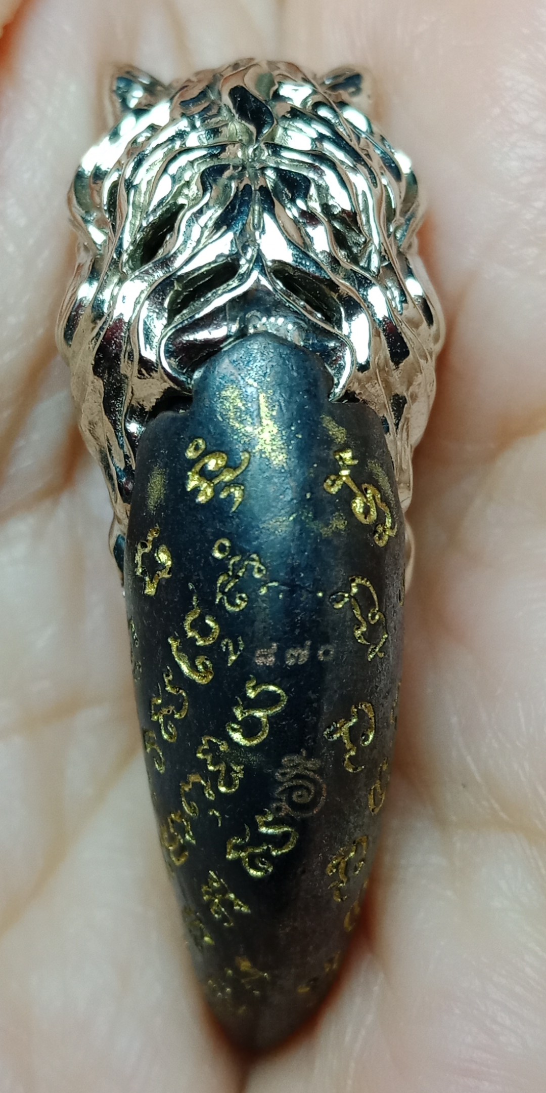 ราชาพยัคฆ์ หลวงพ่อรักษ์ อนาลโย วัดสุทธาวาส วิปัสสนา จ.พระนครศรีอยุธยา เนื้อทองขาวอรัญญิก