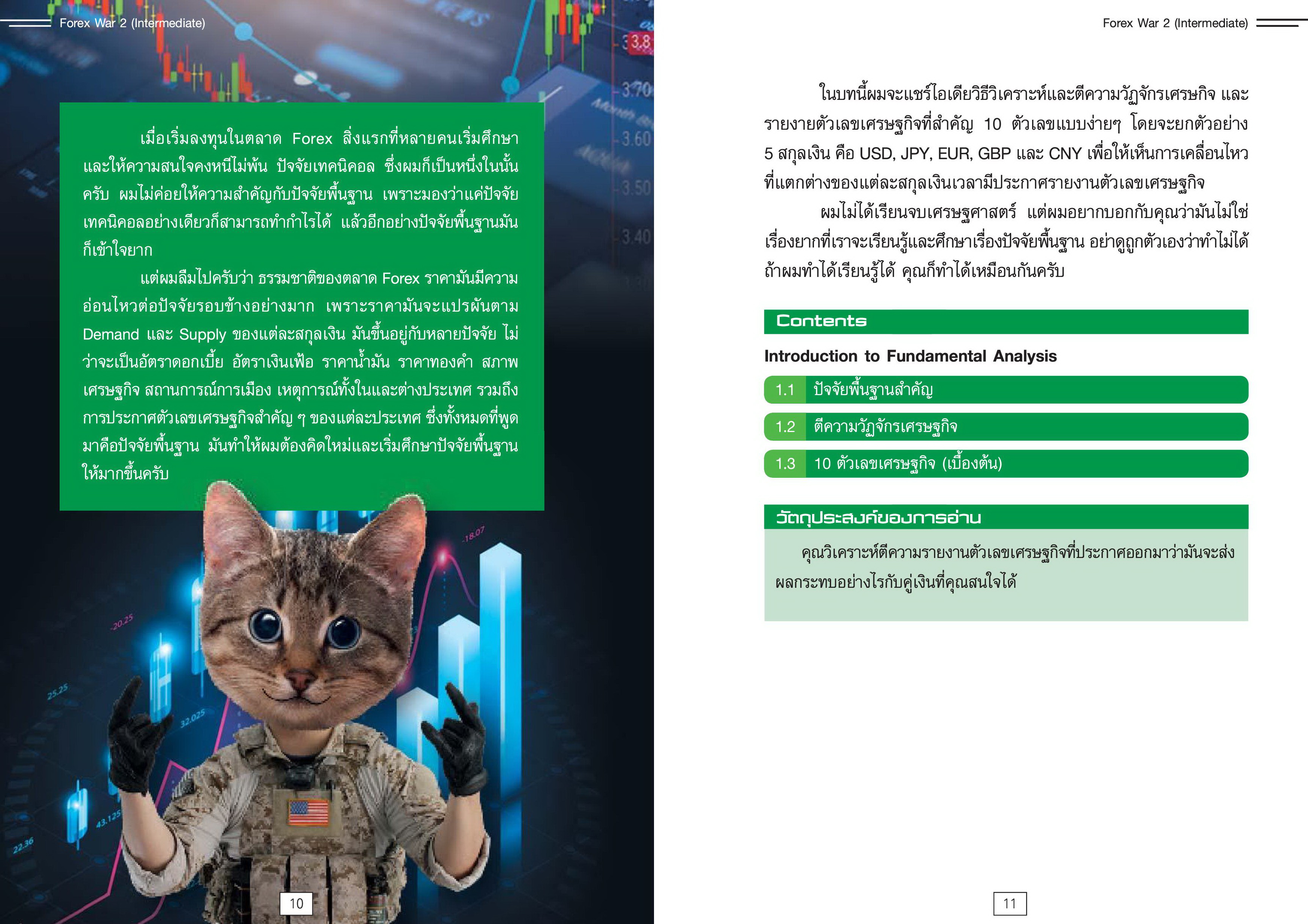 FOREX WAR EPISODE 2 (INTERMEDIATE) - UPDATE เนื้อหาใหม่ มากกว่า 40%