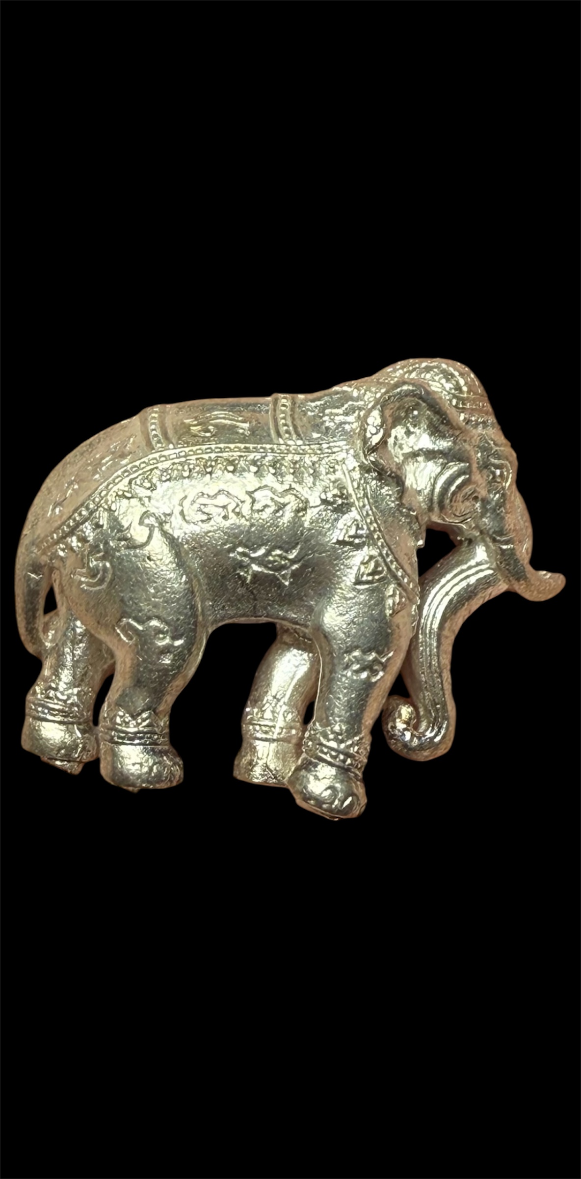 พญาช้างปัจจัยนาค รุ่น คชสารบันดาลทรัพย์ เนื้ออัลปาก้า ปี58 หลวงพ่อรักษ์ วัดสุทธาวาส วิปัสนา จ.อยุธยา