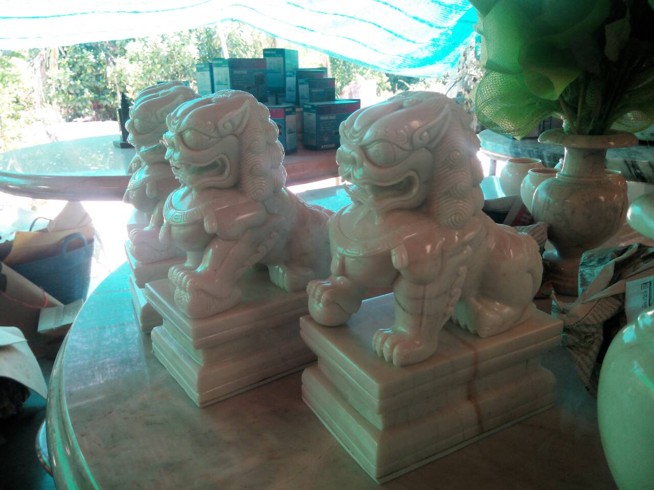 สิงห์หินอ่อน