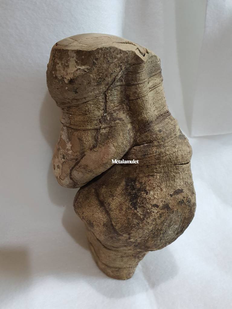 ไม้ชองระอา