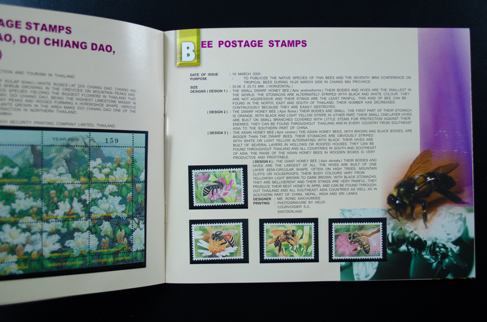 THAI POSTAGE STAMPS 2000 (สมุดแสตมป์ ปี2543 ฉบับย่อ)