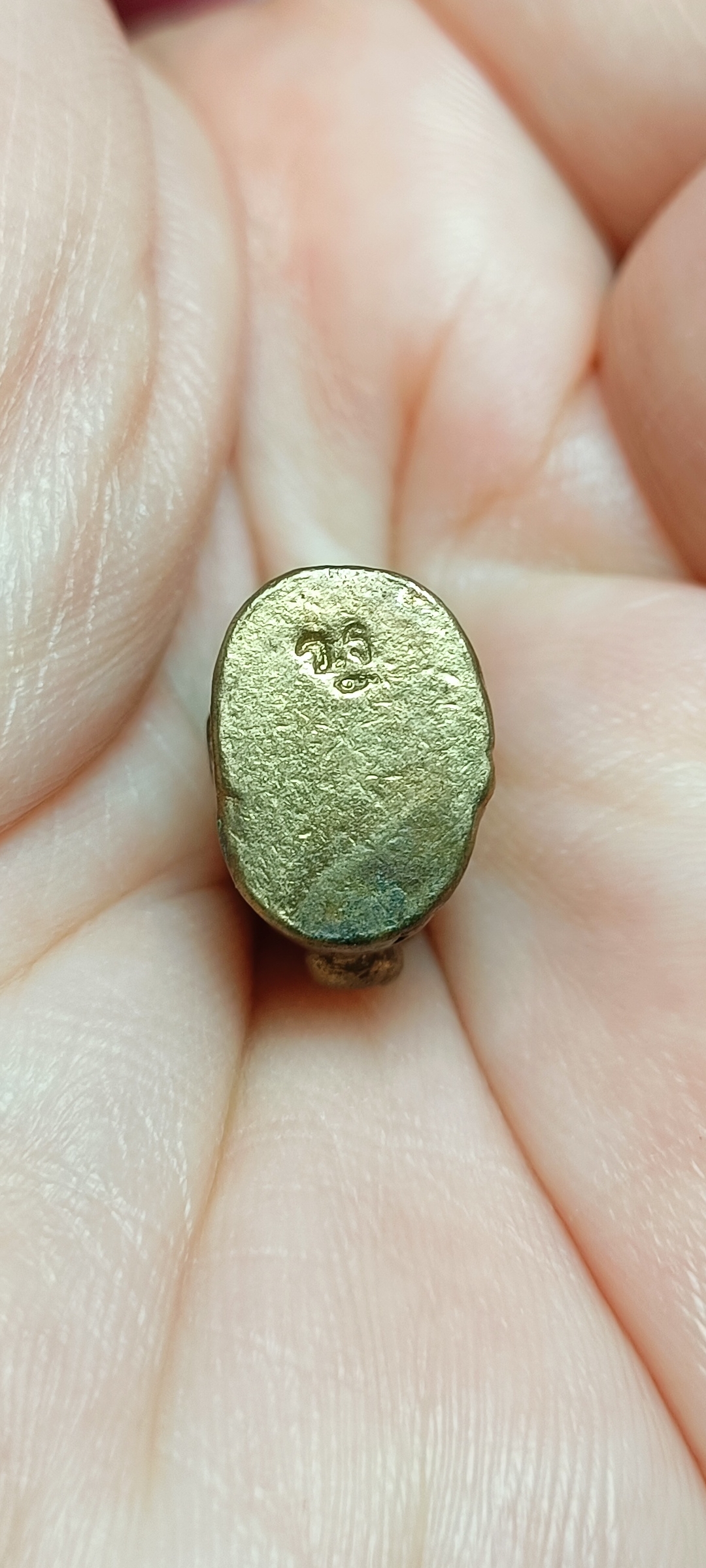 เสือหล่อ หลวงพ่อเพี้ยน วัดเกริ่นกฐิน จ.ลพบุรี ปี๒๕๔๙ รุ่นกฐิน๔๙