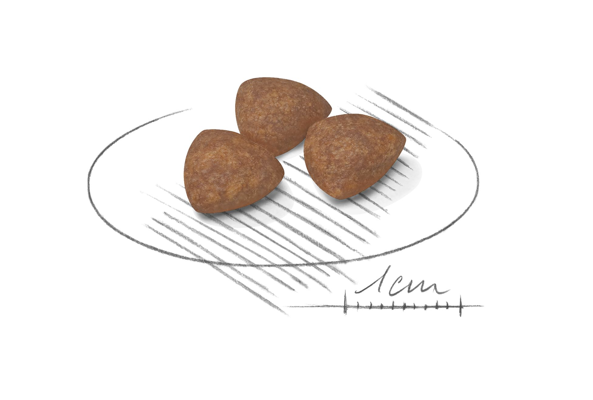 Royal canin Mini puppy อาหารเม็ดสำหรับลูกสุนัขขนาดเล็ก 4 กก.