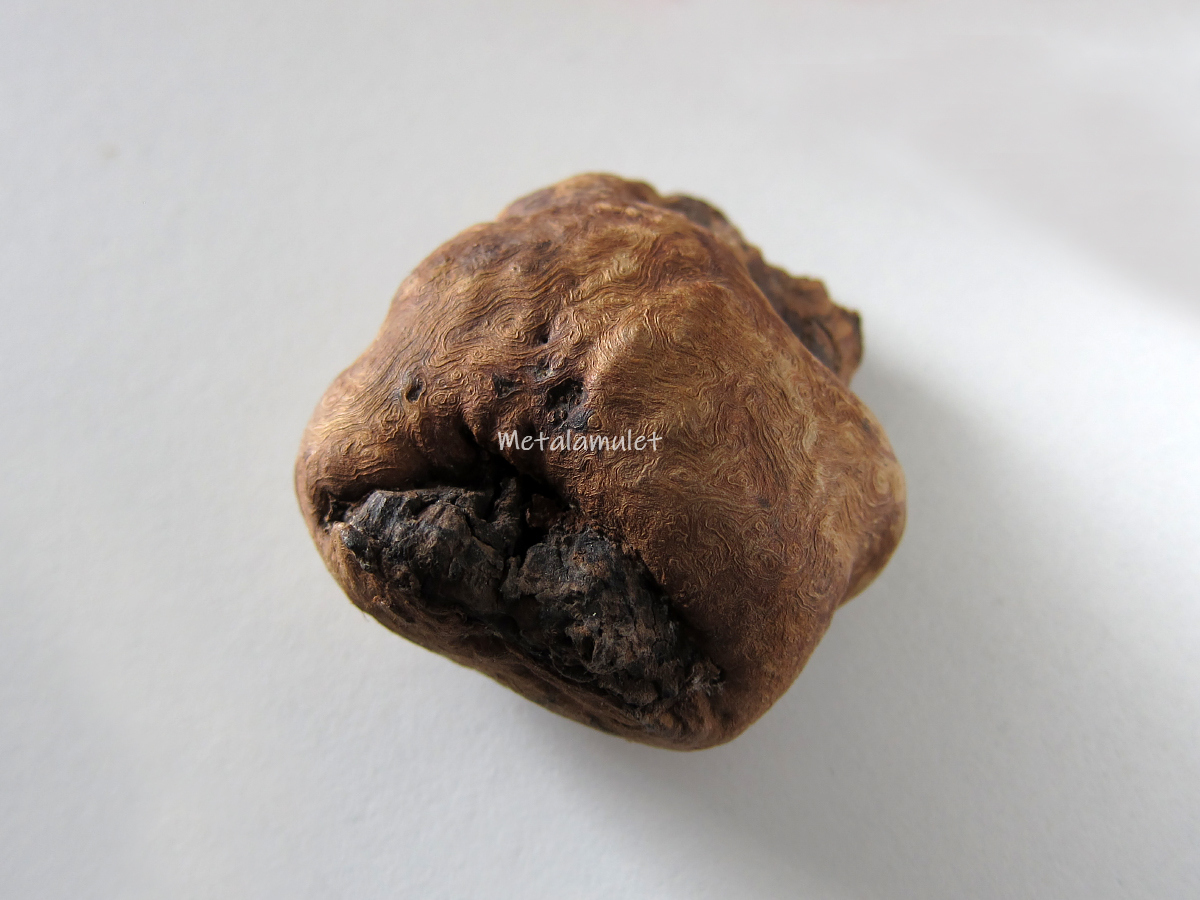 คตตะเคียน( ตาไม้ตะเคียน )