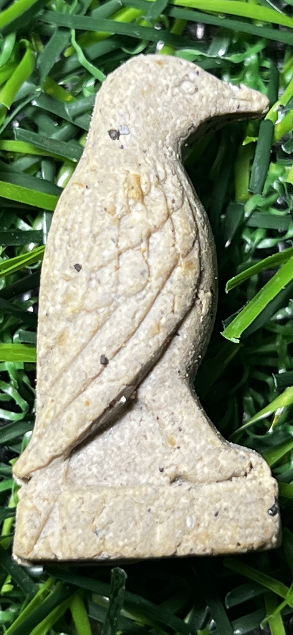 สาริกาจับปากโรง (สาริกาคาบสาว) หลวงปู่ครูบาบุญยัง วัดหนองโค อ.แจ้โด่ง จ.กอกะเร๊ ประเทศพม่า