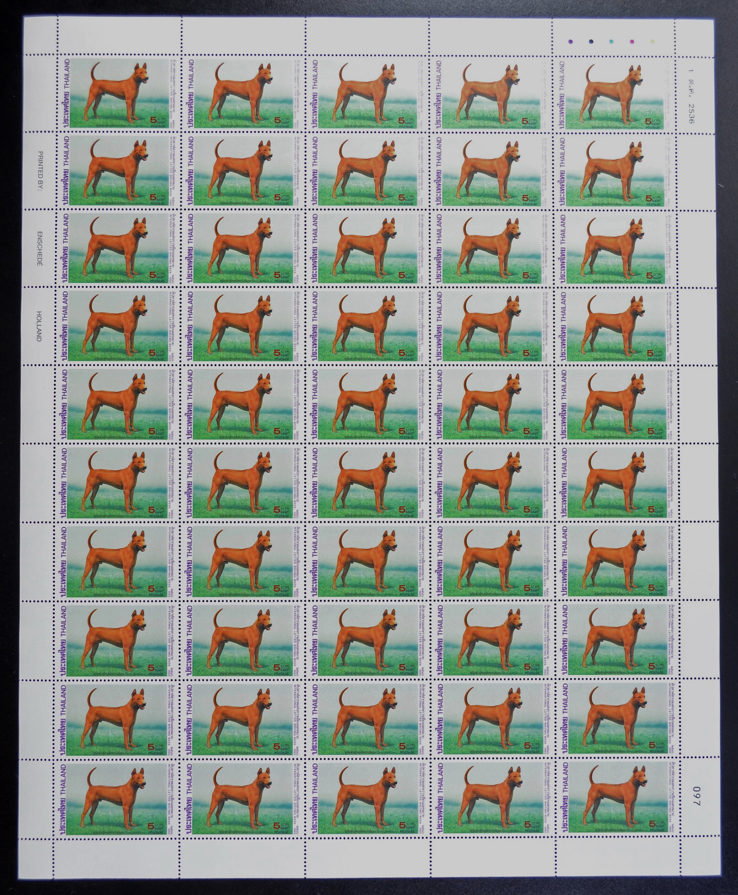 แสตมป์สัปดาห์สากลแห่งการเขียนจดหมาย 2536 (เต็มแผ่น50ดวง)