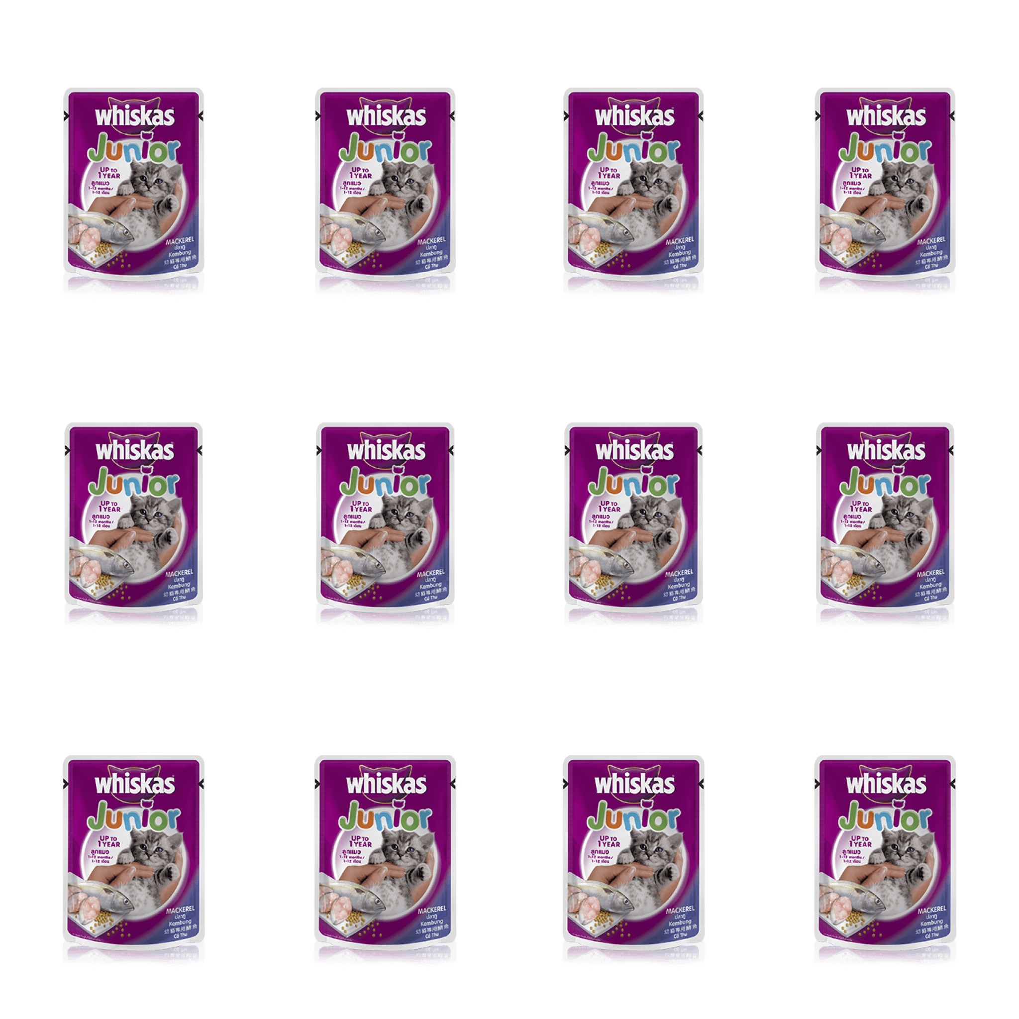Whiskas Junior pouch mackerel วิสกัสแบบซอง ลูกแมว รสปลาทู 85 กรัม x 12 ซอง