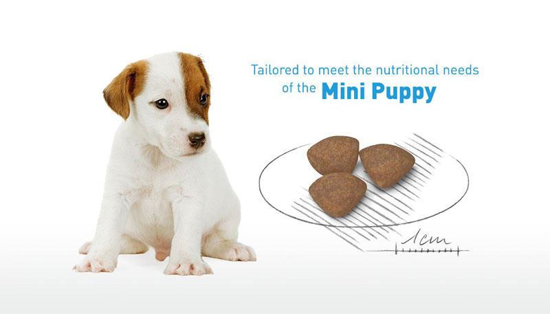 Royal canin Mini Puppy สำหรับลูกสุนัขขนาดเล็ก 800 กรัม