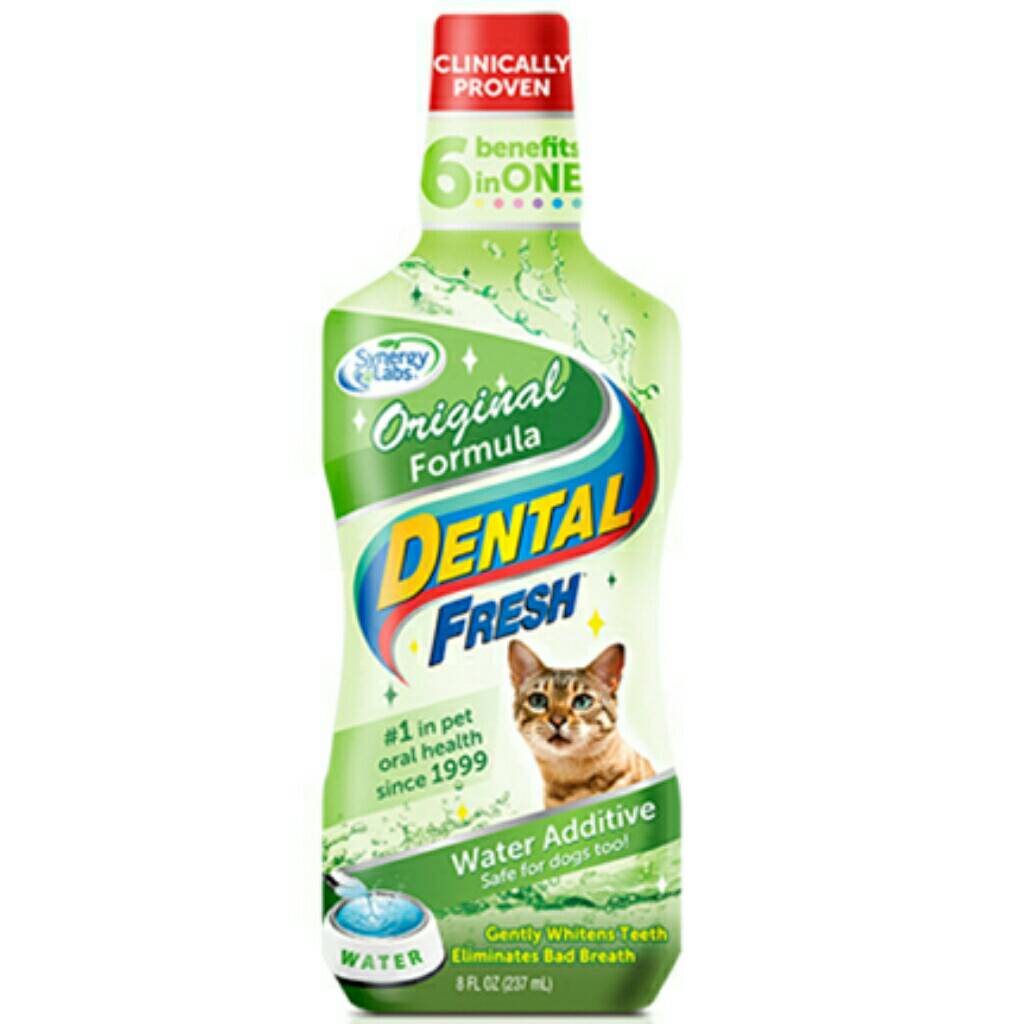Dental fresh for cats Original formula ผลิตภัณฑ์ขจัดกลิ่นปาก ยับยั้งการเกิดหินปูน สำหรับแมว ขนาด 8 oz.