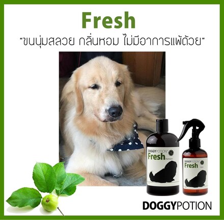 Doggy Potion-Fresh Conditioning Spray 250 ml สเปรย์กำจัดกลิ่นและบำรุงขนสุนัข สูตร Fresh ขนาด 250 ml