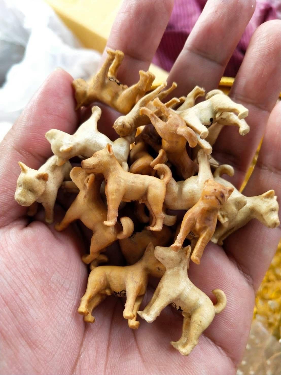 ไอ้ช้าง หมาคู่บารมี รุ่นแรก หลวงพ่อพัฒน์ วัดห้วยด้วน เนื้อ ไม้กำจัด ประสบการณ์โดนยิงล้มทั้งยืนไม่เป็นอะไรเลย