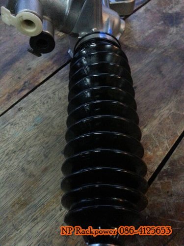 HONDA ACCORD งูเห่า