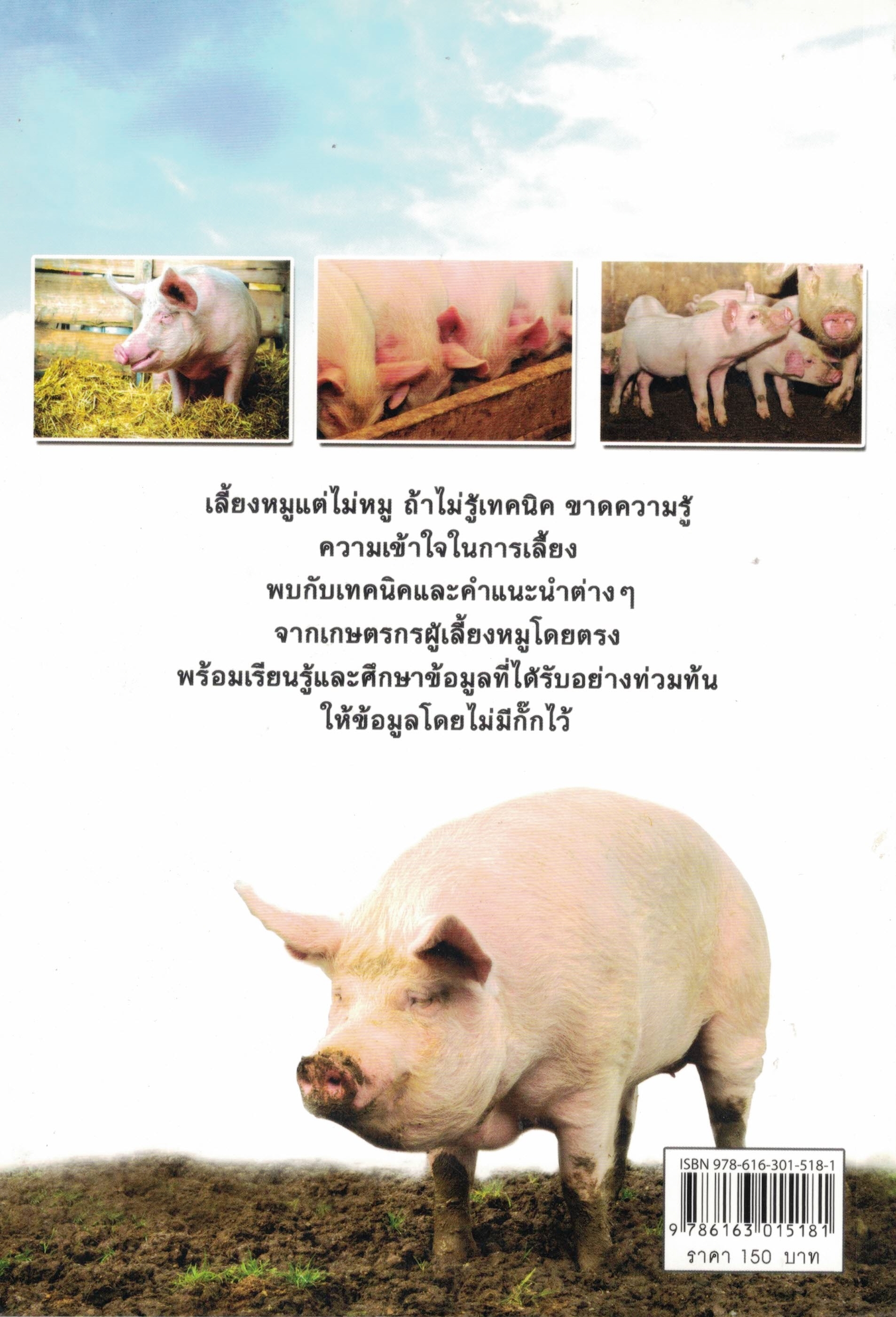 หมูหลุม เลี้ยงได้ไม่จน...เพิ่มตังค์ในเป๋า (ราคาพิเศษ)