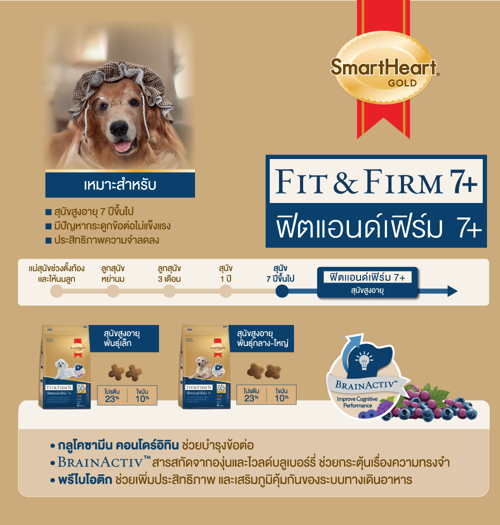 Smartheart Gold Fit and Firm Adult 7+ 3 kg สมาร์ทฮาร์ท โกลด์ ฟิตแอนด์เฟิร์ม อาหารสุนัขโต สูงอายุ (อายุ 7 ปีขึ้นไป) ขนาด 3 กิโลกรัม