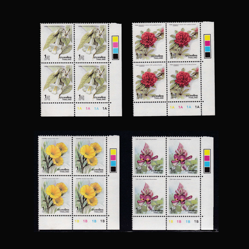 บล็อค 4 (มุมขวาล่าง) มุมสี แสตมป์ปีใหม่ 2534 (ชุด3)