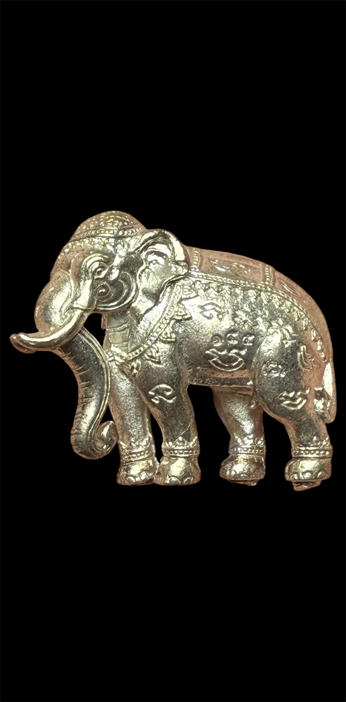 พญาช้างปัจจัยนาค รุ่น คชสารบันดาลทรัพย์ เนื้ออัลปาก้า ปี58 หลวงพ่อรักษ์ วัดสุทธาวาส วิปัสนา จ.อยุธยา