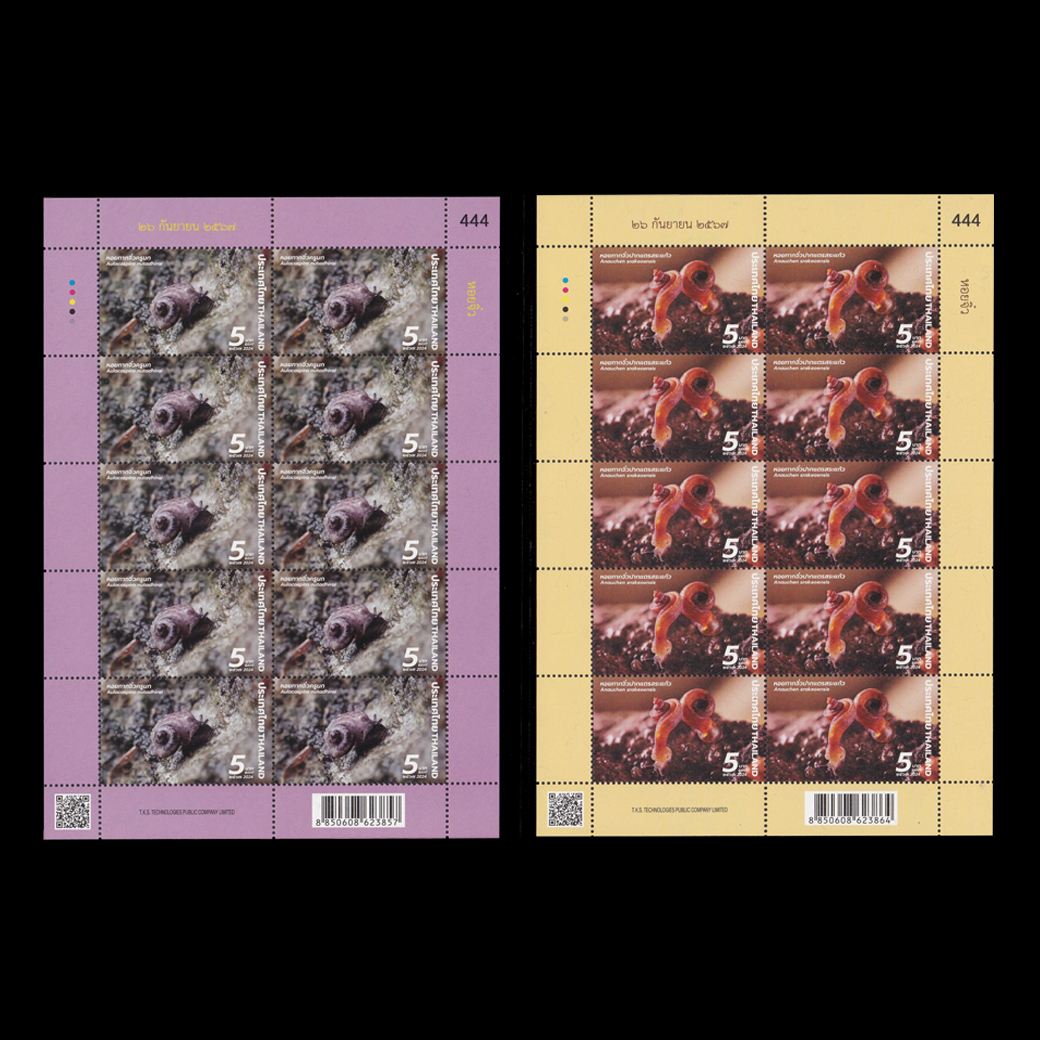 แสตมป์หอยจิ๋ว (เต็มแผ่น) #111