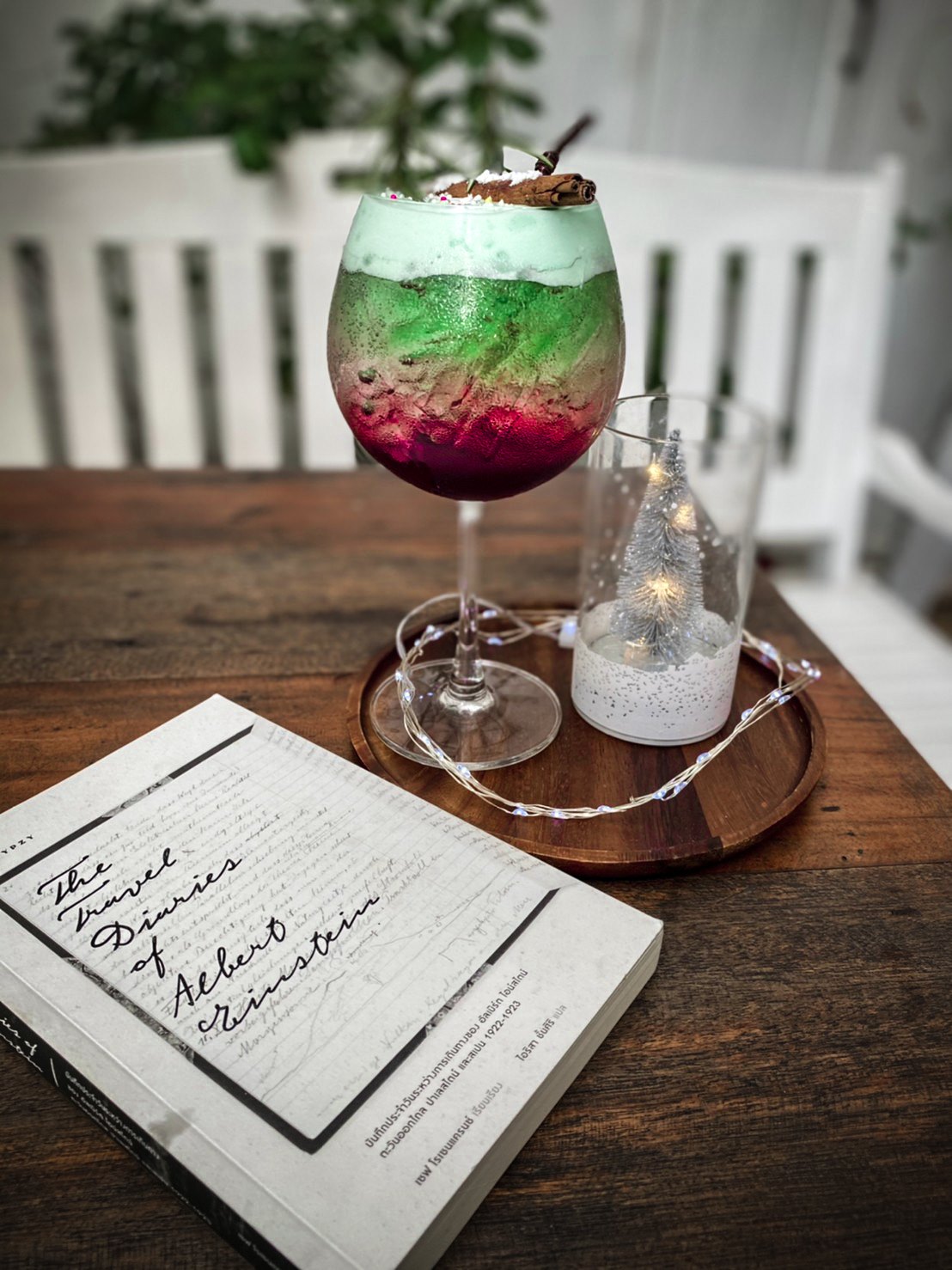 บันทึกประจำวันระหว่างการเดินทางของ อัลเบิร์ต ไอน์สไตน์ The Travel Diaries of Albert Einstein