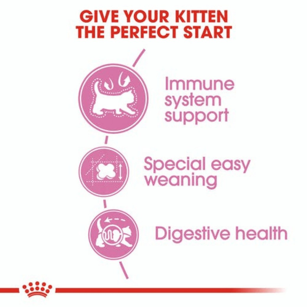 Royal canin mother & babycat 400 g อาหารเม็ดนิ่มสำหรับลูกแมว 1-4 เดือน และแม่แมวตั้งท้อง-ให้นม ขนาด 400 กรัม